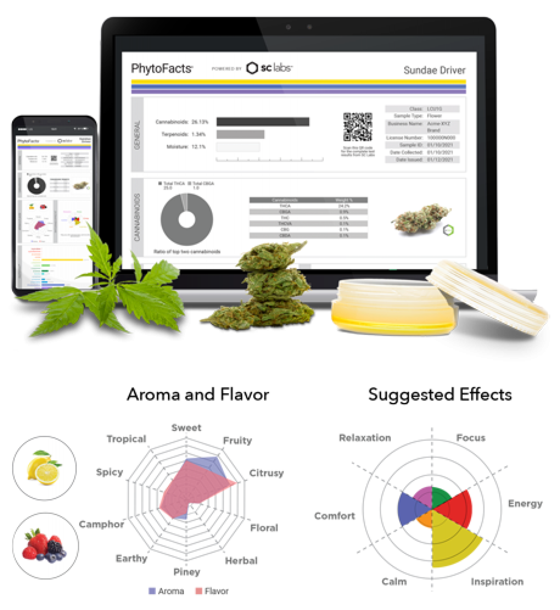 Cannabis Lab Testing: How It Works And Why It Matters - Cannabis Vape ...