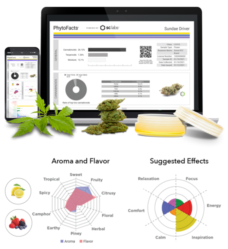 Sc Labs Testing Price