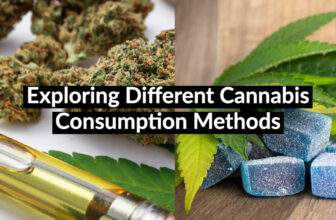 cannabis consumption methods