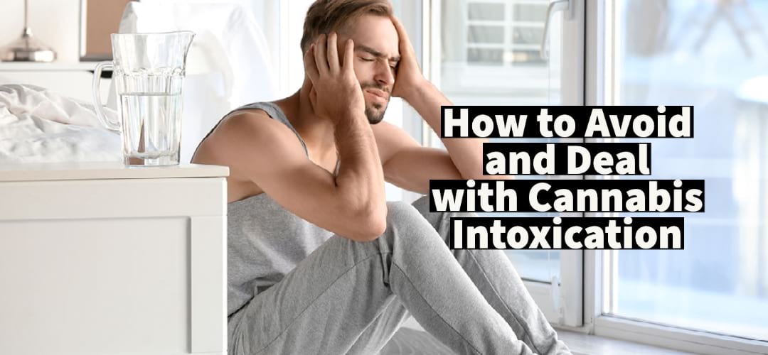 How to Deal with Cannabis Intoxication Cannabis Vape Reviews
