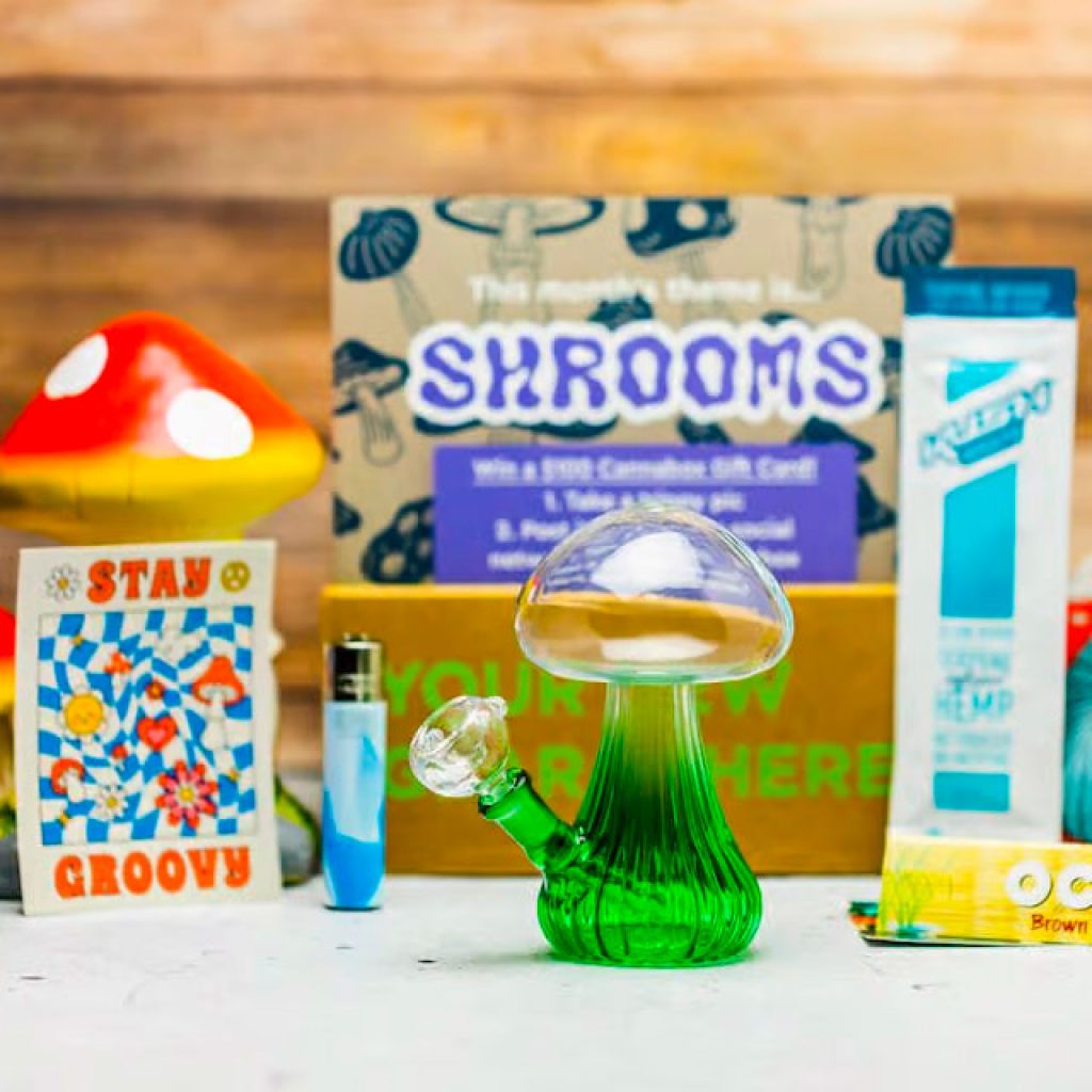 cannabox shroom kit