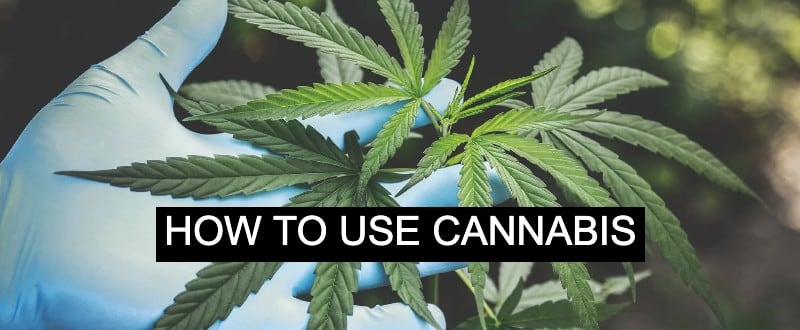 How to Use Cannabis: Most Common Uses & Where to Buy It