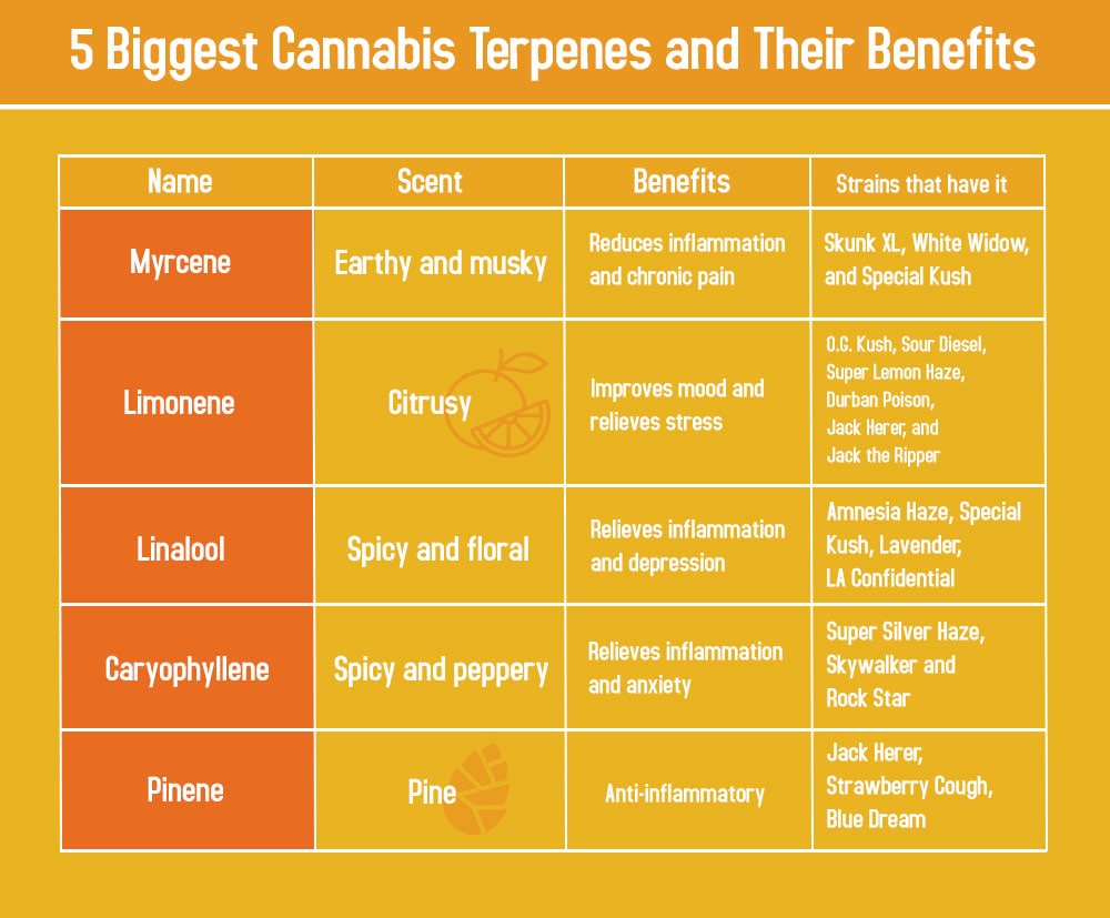 top cannabis terpenes chart