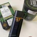 STIIIZY Disposable Vape Pen