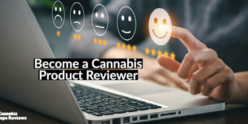 How to Become a Vape Critic