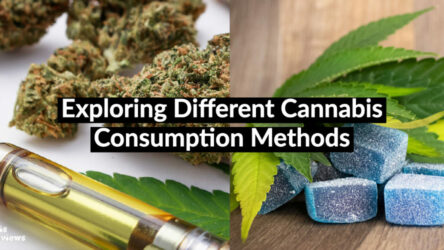 Exploring 5 Different Cannabis Consumption Methods