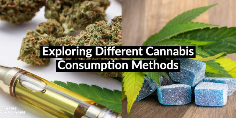 Exploring 5 Different Cannabis Consumption Methods