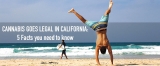 California legalizes adult-use cannabis: 5 Need to know Facts