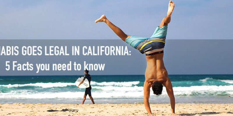 California legalizes adult-use cannabis: 5 Need to know Facts