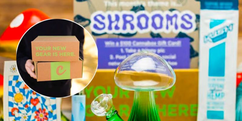 Monthly Weed Subscription Boxes