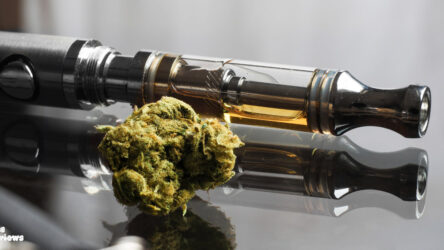 Delta 9 Vs. Traditional THC: What’s The Difference?