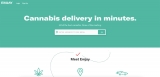 How to Order Cannabis Online: My Experience with Emjay Delivery