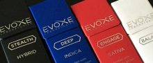 Evoxe Essential Oil Infused Cannabis Vape