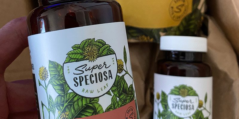 Kratom versus CBD: What’s the Difference?