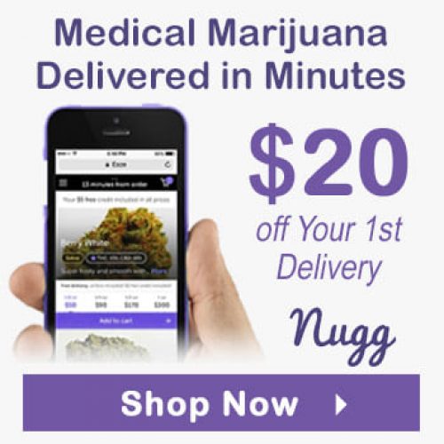 Nugg Delivery