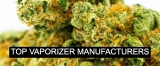 Top 5 Cannabis Vaporizer Manufacturers in 2020