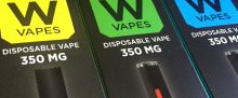 W Vapes – Disposable Vape Pen