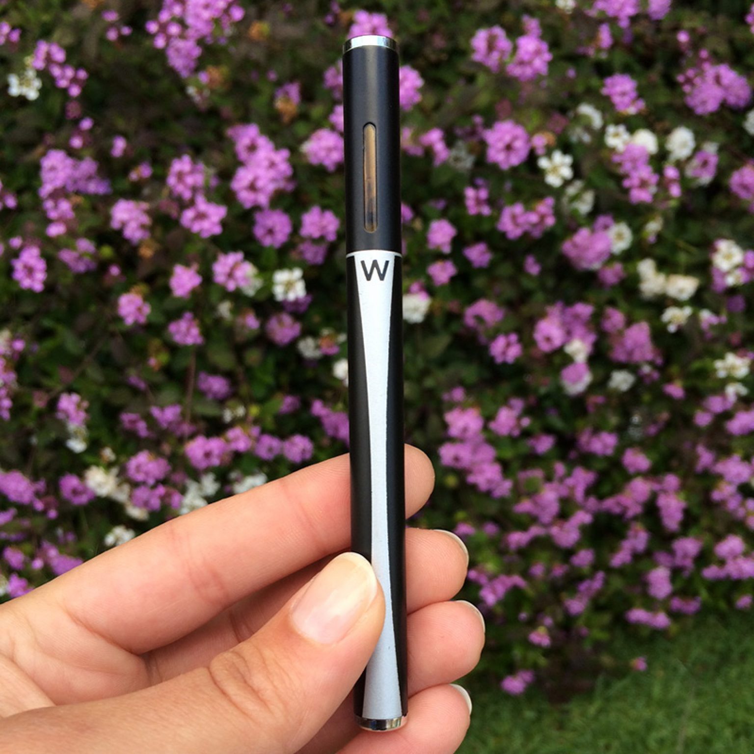 W Vapes Disposable Vape Pen Cannabis Vape Reviews   Wvape Disposable Vape Pen 1536x1536 